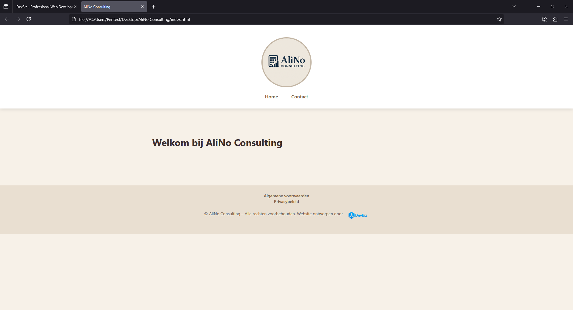 AliNo Consulting Website